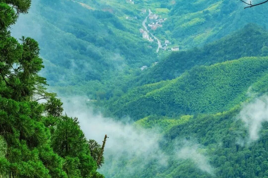 1783682991570504.jpg 图片2.jpg